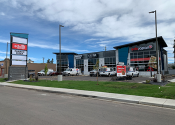 Peacock, South CRU, Red Deer